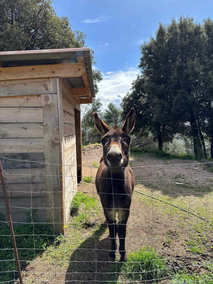 Location d'appartements saisonniers Corse